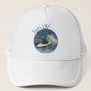 Casquette Surfant sur Skye Terrier