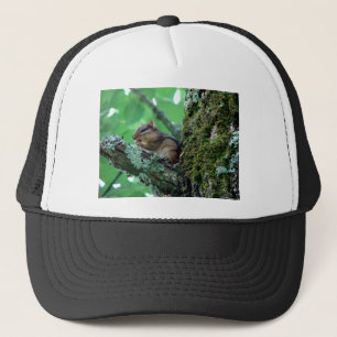 Casquette Sweet Chipmunk dans un arbre Vêtements et cadeaux
