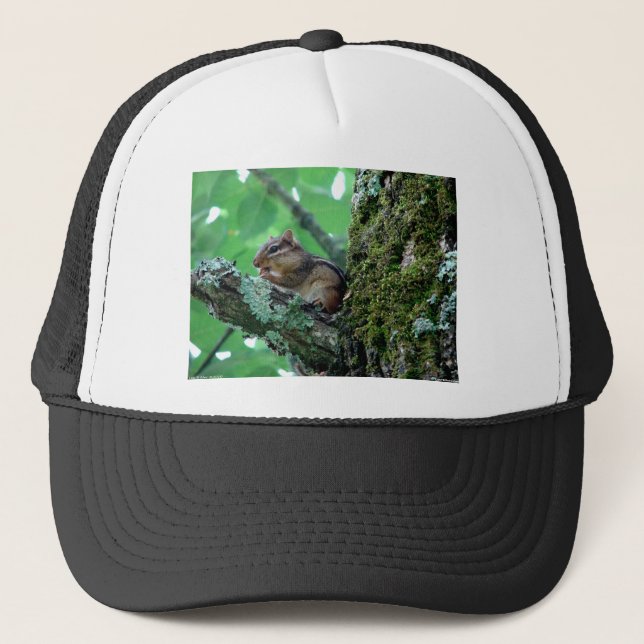 Casquette Sweet Chipmunk dans un arbre Vêtements et cadeaux (Devant)