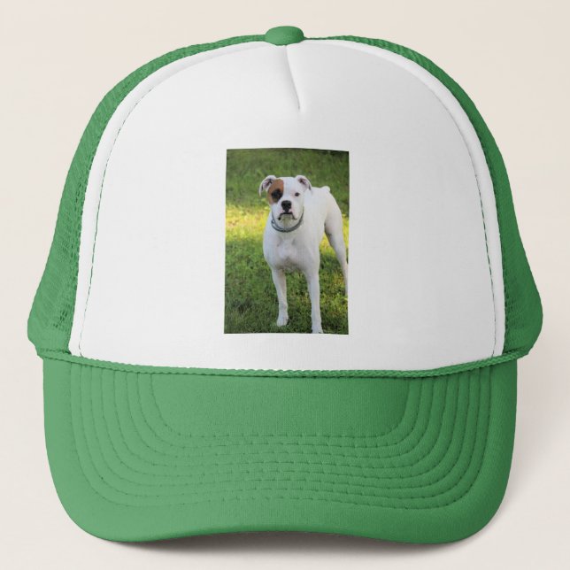 Casquette T-shirt boîte (Devant)
