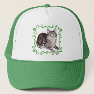Casquette Tabby américain Shorthair