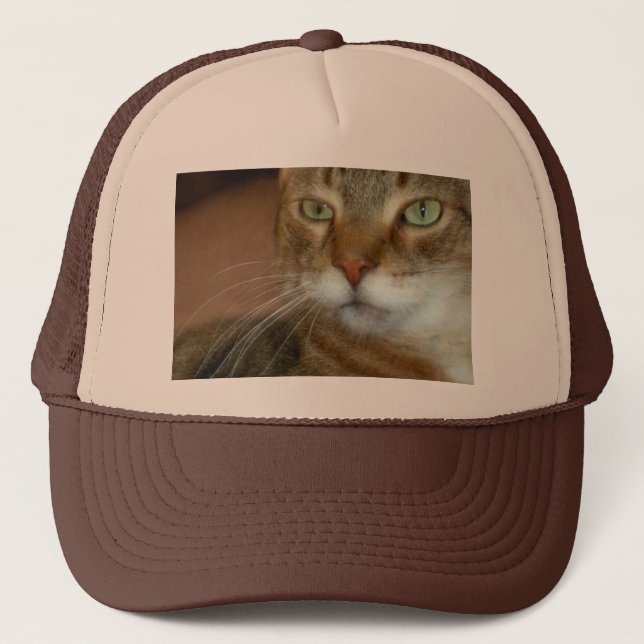 Casquette Tabby Cat Love (Devant)