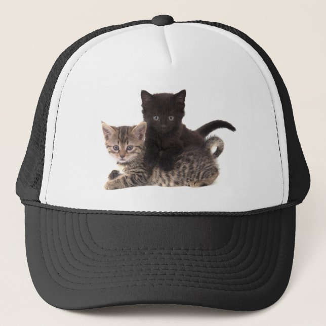 Casquette tabby kitten black kitten (Devant)
