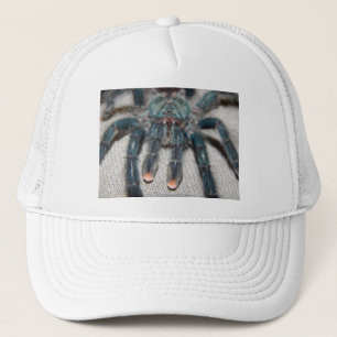Casquette tarantule bleue