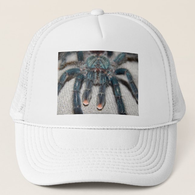 Casquette tarantule bleue (Devant)