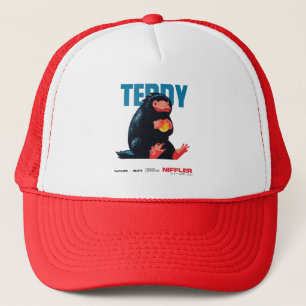 Casquette Teddy Vintage Graphic