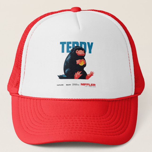 Casquette Teddy Vintage Graphic (Devant)