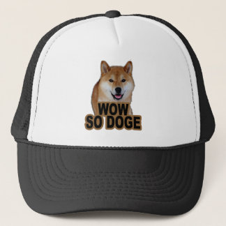 Casquette Tee - shirt .png de doge