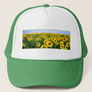 Casquette Terrain de tournesol