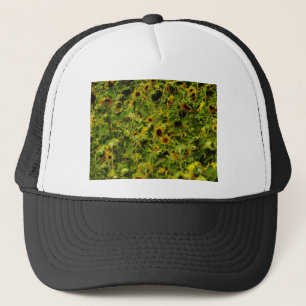 Casquette Terrain de tournesol