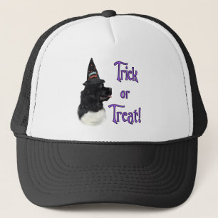 Casquette Terre-Neuve (atterrisseur) Trick