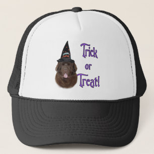 Casquette Terre-Neuve (brun) Trick