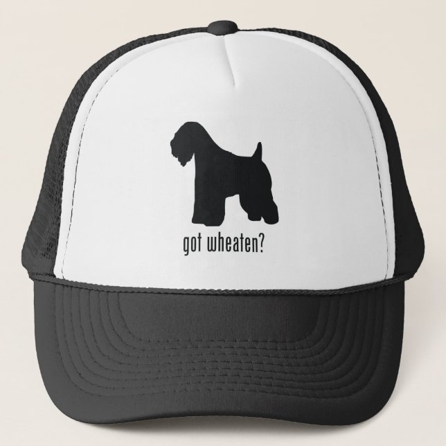 Casquette Terrier blond comme les blés Doux-Enduit (Devant)