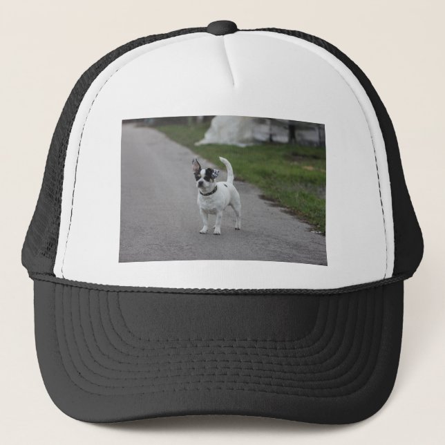 Casquette Terrier Chien à l'air mignon ! (Devant)