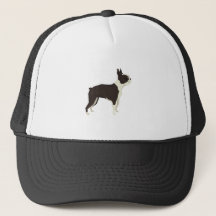 Terrier de Boston