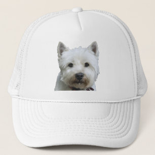 Casquette Terrier des montagnes occidental