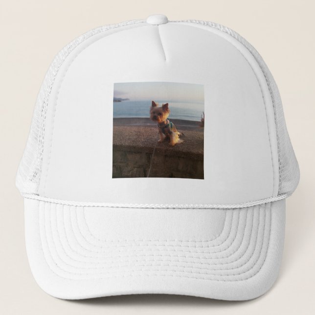 Casquette Terrier du Yorkshire (Devant)