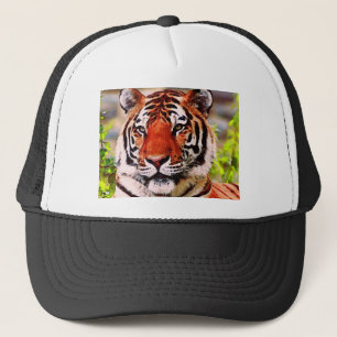 Casquette Tigre