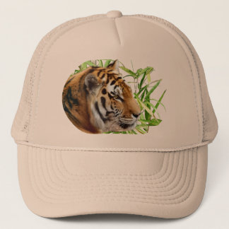 CASQUETTE TIGRE DANS LE BAMBOU