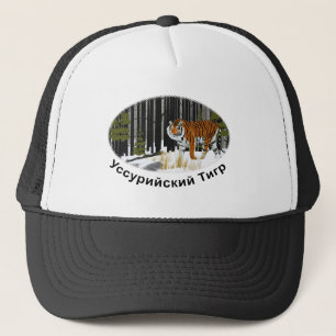 Casquette Tigre de Sibérie
