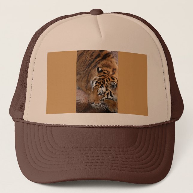 Casquette Tigre du Bengale (Devant)