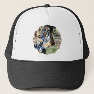 Casquette Tigre du Bengale dans une prairie ensoleillée