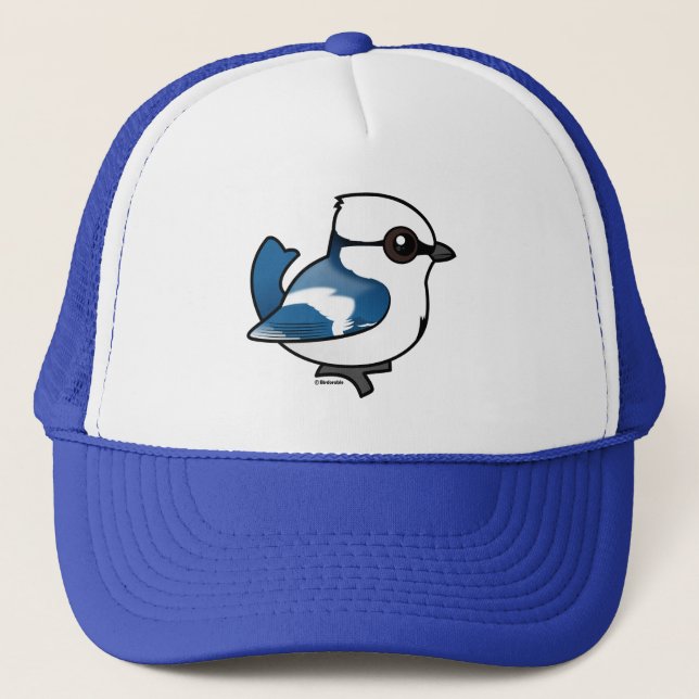 Casquette Tit Azure Birdorable (Devant)