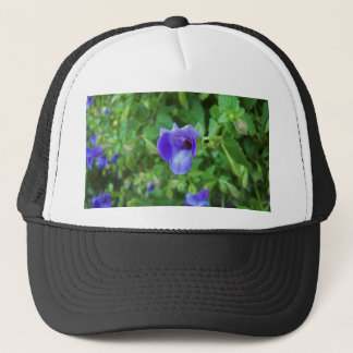 Casquette Torenia