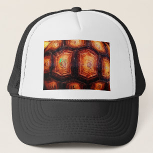 Casquette Tortois