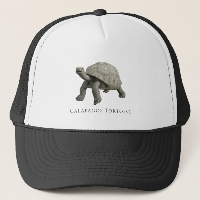 Casquette Tortoise des Galapagos (Devant)