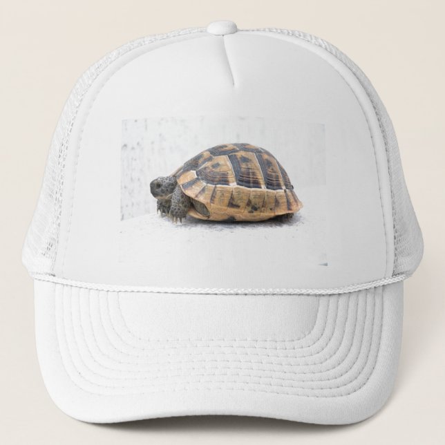 Casquette Tortue (Devant)