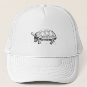 Casquette Tortue