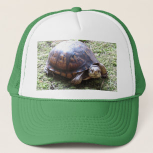 Casquette Tortue à boîte - Chemin Mossy