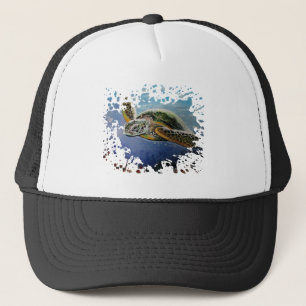 Casquette Tortue de mer