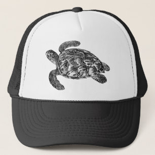 Casquette Tortue de mer imbriquée par cru - modèle de