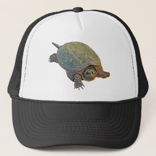 Casquette Tortue de rupture commune - serpentina de Chelydra