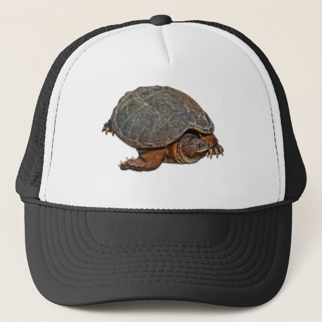 Casquette Tortue serpentine Terrapin-lover Cadeau (Devant)