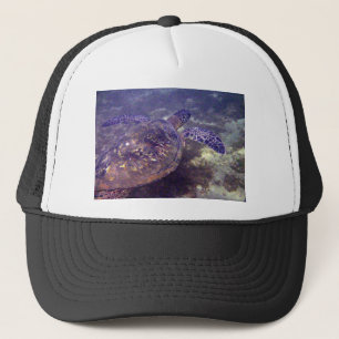 Casquette Tortues de mer vertes hawaïennes