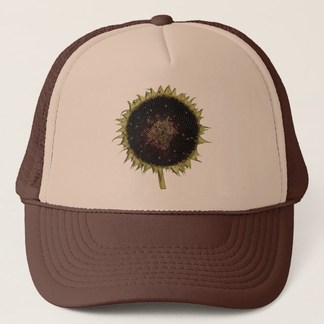 Casquette Tournesol en pleine floraison (Devant)