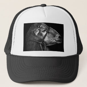 Casquette tout de suite