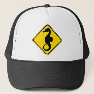 Casquette Traversée à cheval de recherche !