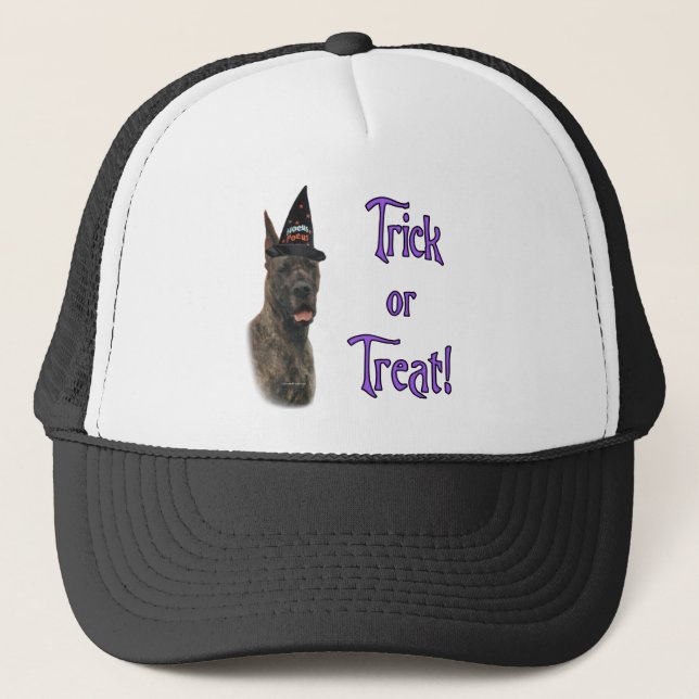 Casquette Trick Great Dane (broche) (Devant)