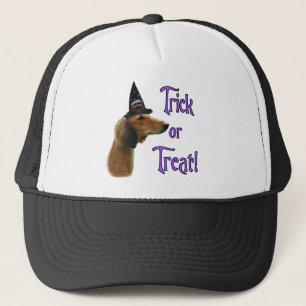 Casquette Trick Saluki