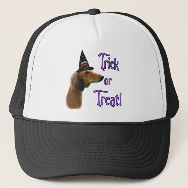 Casquette Trick Saluki (Devant)