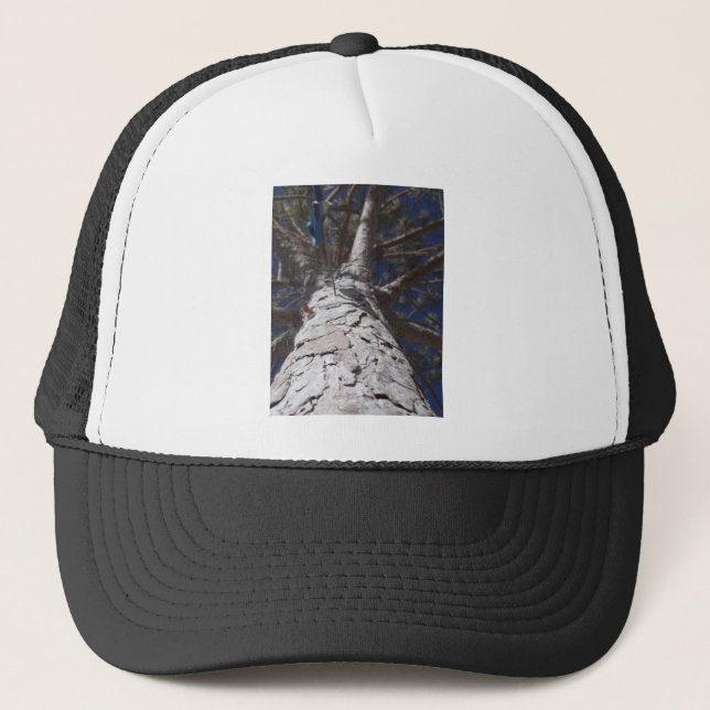 Casquette Tronc d'arbre (Devant)