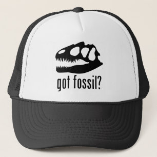 CASQUETTE TU AS UN FOSSILE?