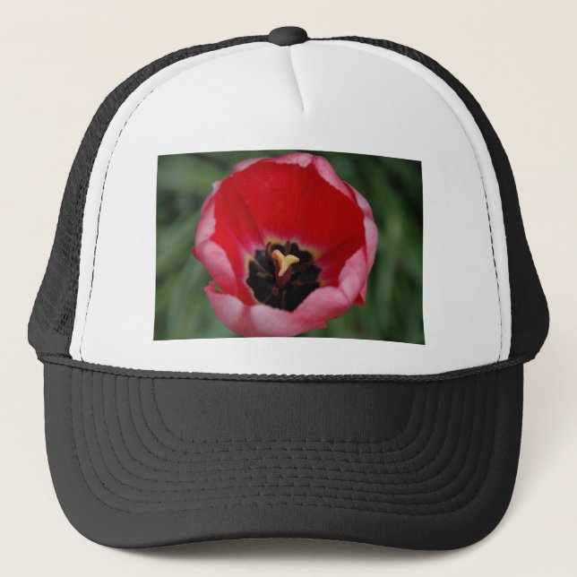 Casquette Tulip (Devant)