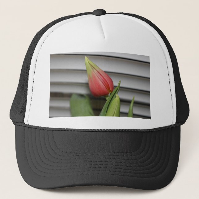 Casquette Tulipe de Budding (Devant)