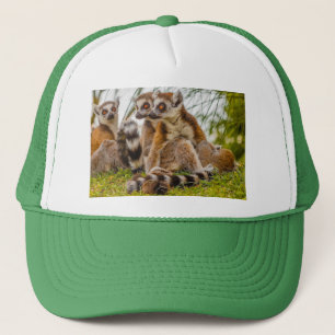 Casquette un lémurien mâle étreint sa femelle sur une casque