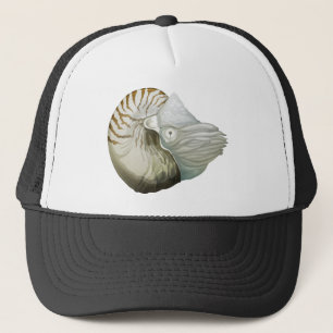 Casquette Un nautilus